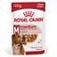 Royal Canin - Sachet Fraicheur Medium Adult En Sauce Pour Chiens - 10x140g Indicateur image numéro 1