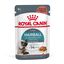 Royal Canin - Sachets Hairball Care en Sauce pour Chat - 12x85g Indicateur image numéro 11