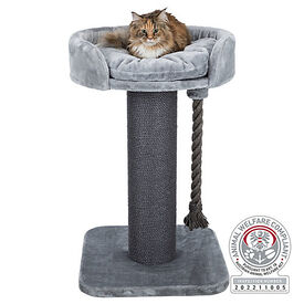 Trixie - Arbre à chat XXL Klara gris - 100 cm