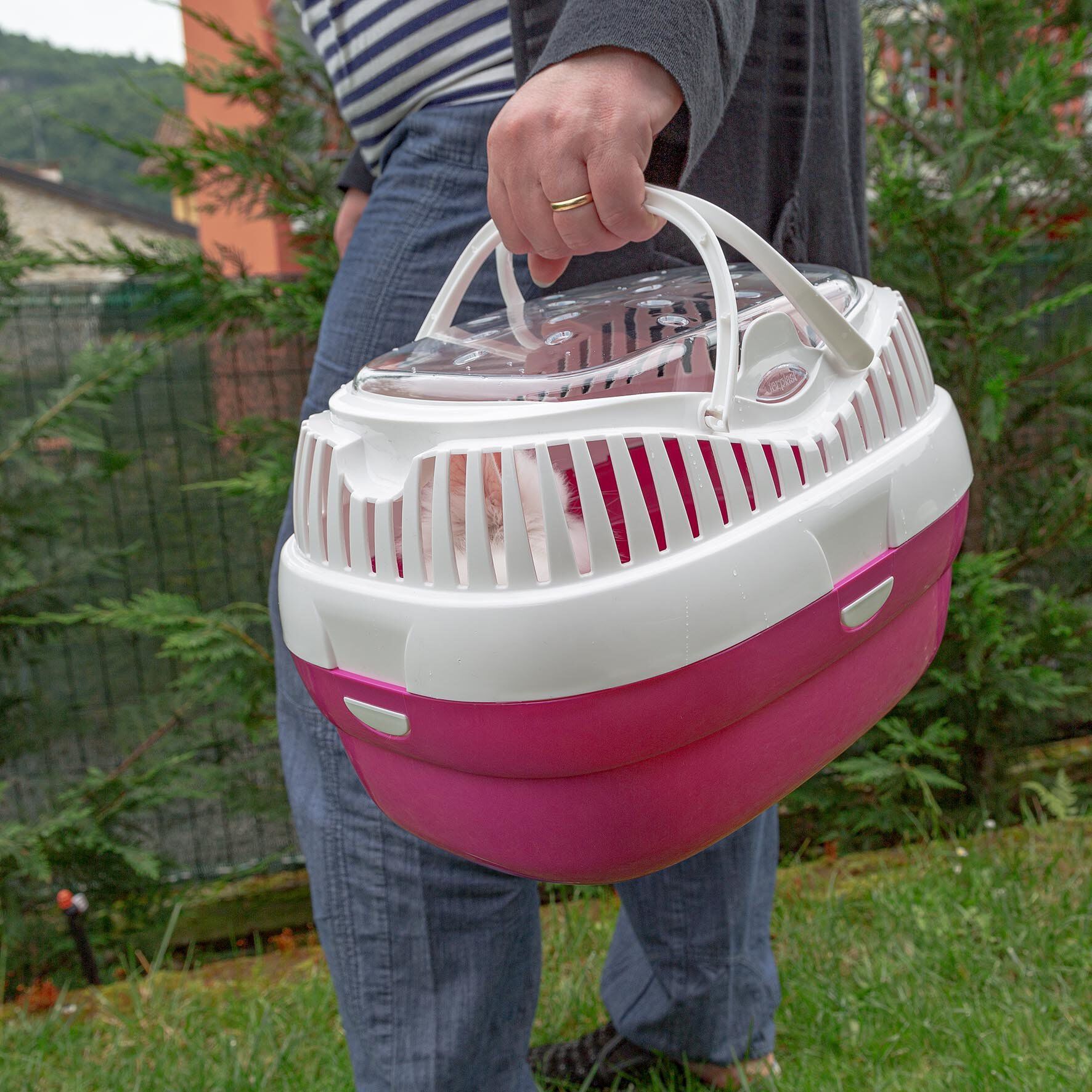 Ferplast - Transport Aladino Vert pour Rongeurs - L Image num&eacute;ro 5