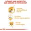 Royal Canin - Croquettes SPHYNX ADULT pour chats - 10KG Indicateur image numéro 2