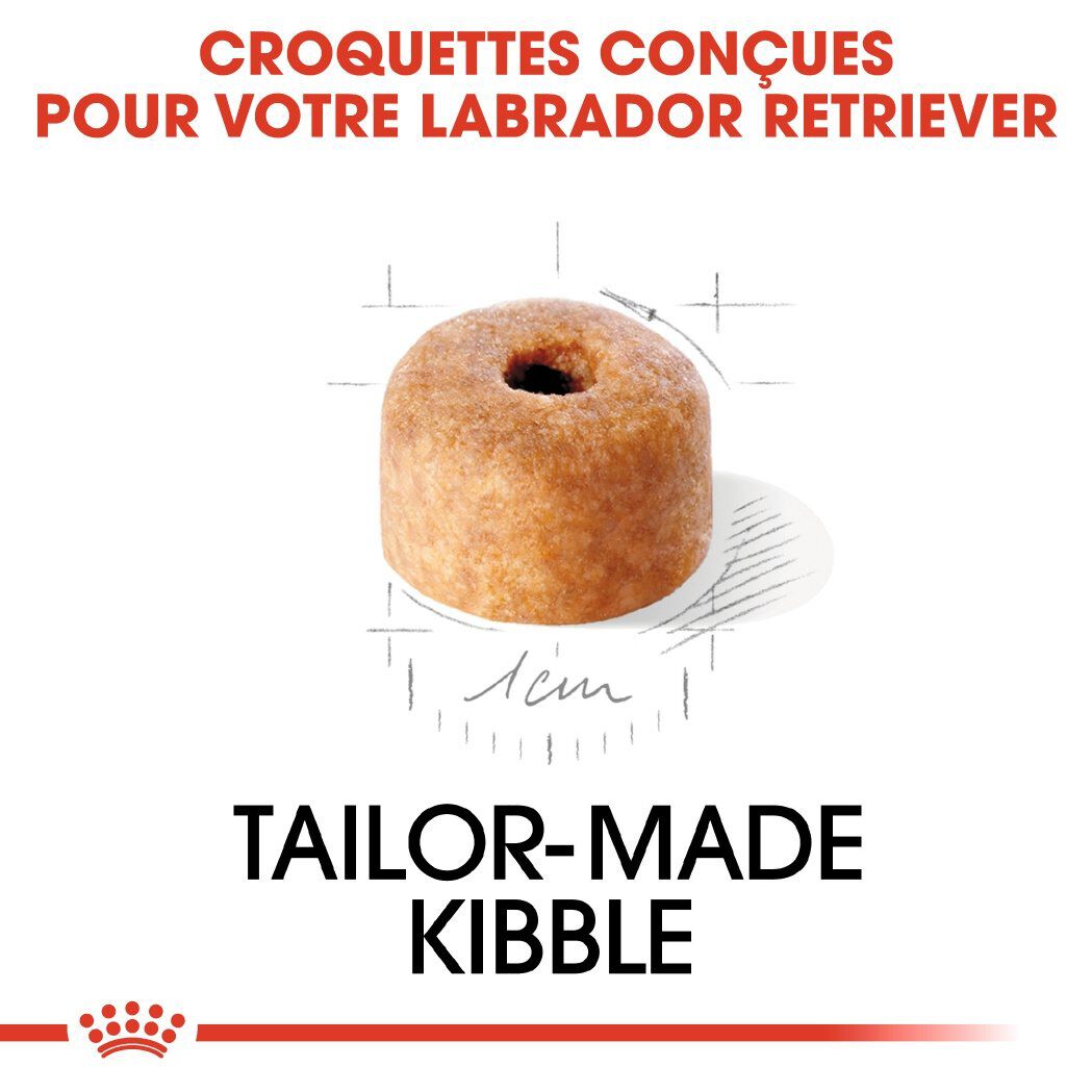 Royal Canin - Croquettes Labrador Junior pour Chiot - 12Kg Image num&eacute;ro 4