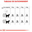 Royal Canin - Croquettes Dental Care pour Chat - 3,5Kg Indicateur image numéro 2