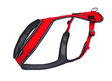 Kyflie - Harnais OTIUM Canicross de Traction pour Chien T7 - Rouge