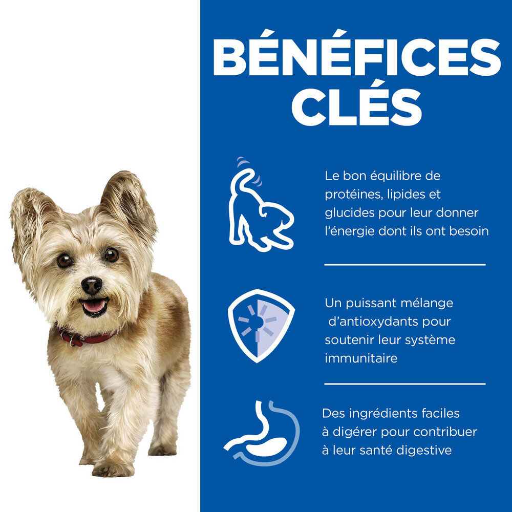 Hill's Science Plan - Mature Small&Mini Mousse Pour Chien Ag&eacute; De Petite Race B&oelig;uf  - 200g Image num&eacute;ro 3