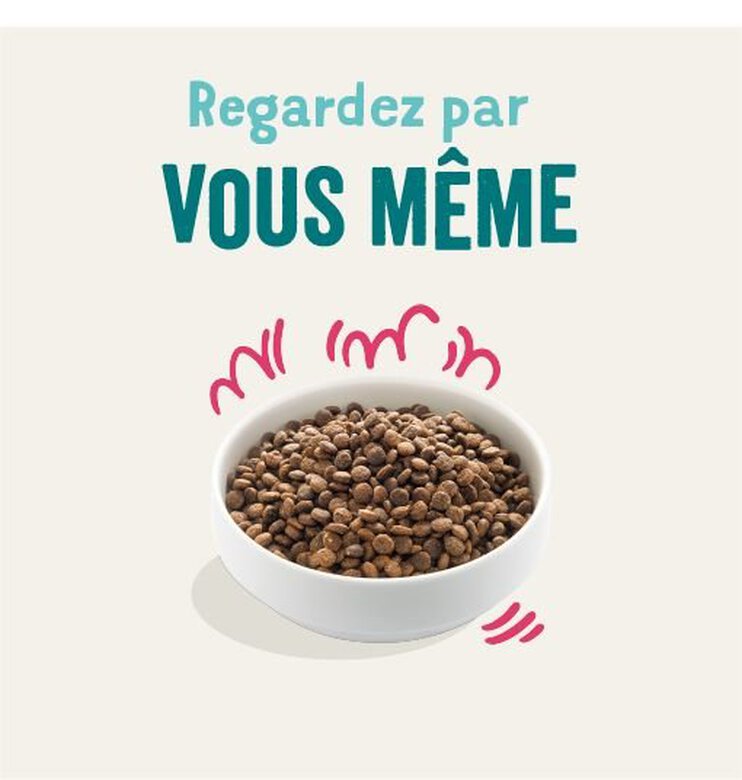 Edgard & Cooper - Croquettes BIO au Bœuf et Poulet pour Chien - 2,5Kg Image numéro 2 Edgard & Cooper - Croquettes BIO au Bœuf et Poulet pour Chien - 2,5Kg Image numéro 2