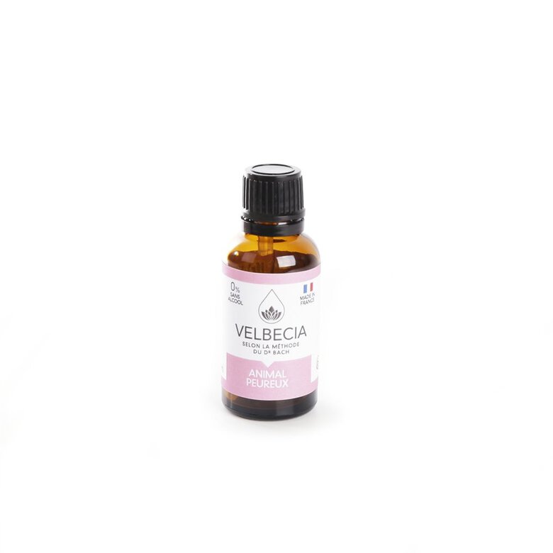 Velbecia - Fleur de Bach Peur pour Chiens et Chats - 30ml Image numéro 1 Velbecia - Fleur de Bach Peur pour Chiens et Chats - 30ml Image numéro 1