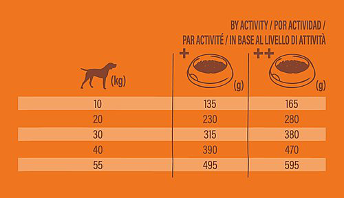 Nature's Variety - Croquettes No Grain Adulte Au Saumon Pour Chiens - 3kg Image num&eacute;ro 4