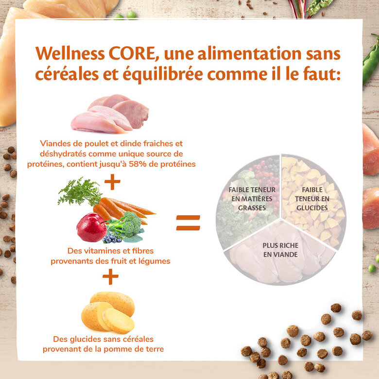 Wellness CORE - Croquettes Original Dinde et Poulet pour Chat - 1,75Kg Image numéro 5 Wellness CORE - Croquettes Original Dinde et Poulet pour Chat - 1,75Kg Image numéro 5