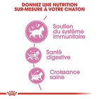 Royal Canin - Croquettes Kitten pour Chaton image number null