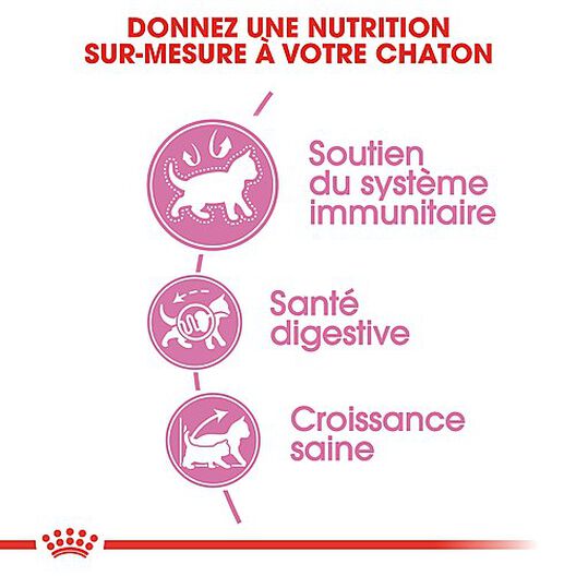 Royal Canin - Croquettes Kitten pour Chaton image number null