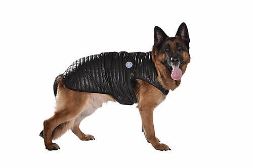 Bobby Manteau Explo en Noir pour Chiens 70XXL Animalis