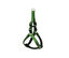 Gotoo - Harnais en Nylon Premium Vert pour Chien - XS Indicateur image numéro 1