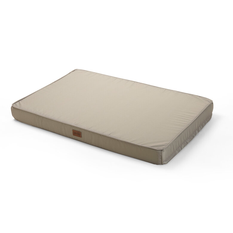 Leeby - Matelas Premium couleur Taupe pour Chien - S Image numéro 2 Leeby - Matelas Premium couleur Taupe pour Chien - S Image numéro 2