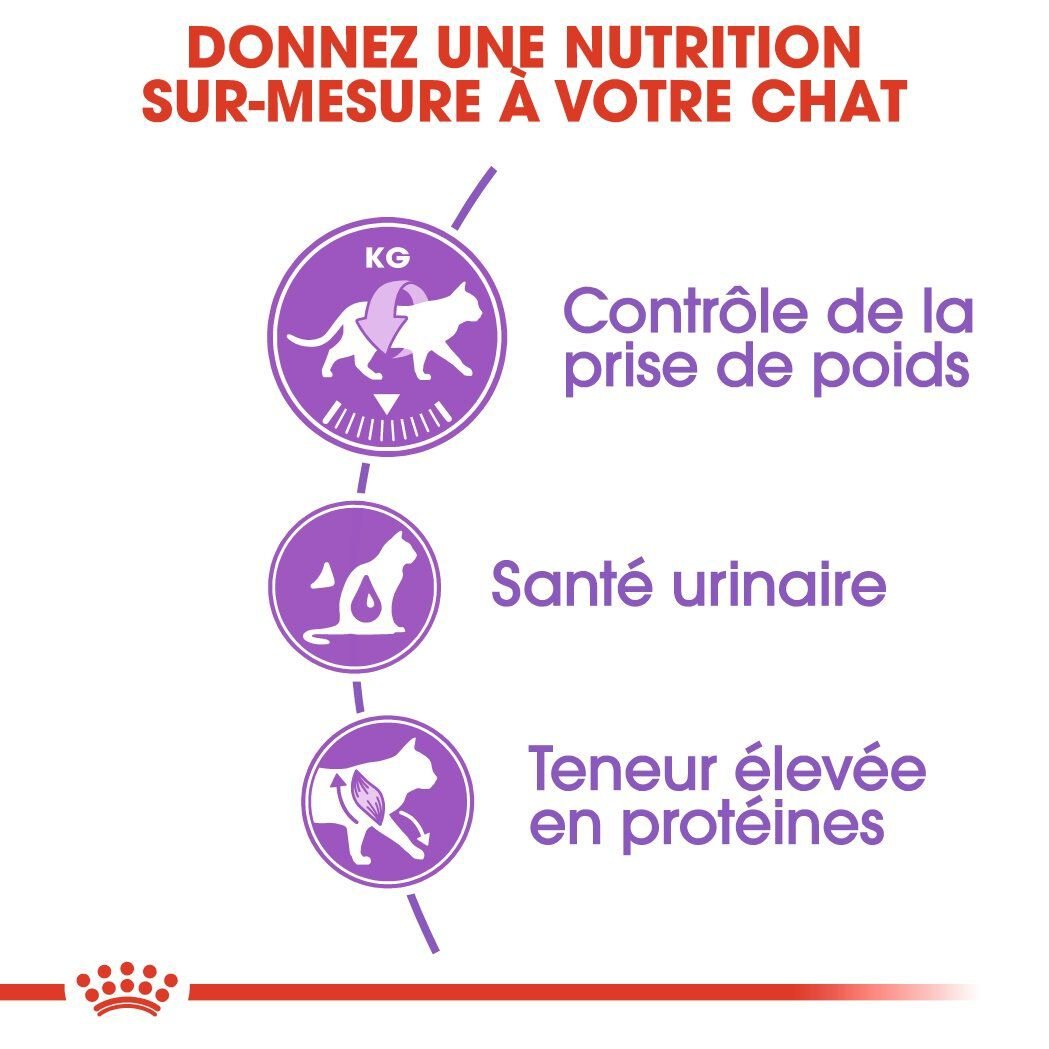 Royal Canin - Croquettes Sterilised 37 pour Chat - 400g Image num&eacute;ro 4