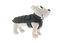 Ferribiella - Doudoune CALDOSO+ Vert pour Chien - 43cm Indicateur image numéro 3