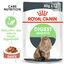 Royal Canin - Sachets Digestive Care sauce pour Chat - 12x85g Indicateur image numéro 1
