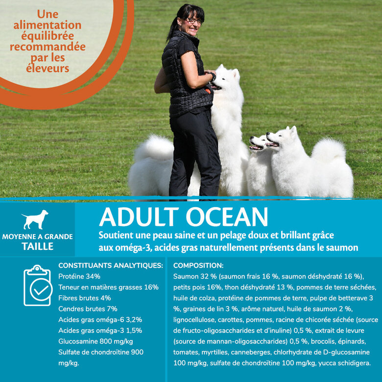Wellness CORE - Croquettes Océan Saumon et Thon pour Chien - 10Kg Image numéro 3 Wellness CORE - Croquettes Océan Saumon et Thon pour Chien - 10Kg Image numéro 3