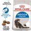 Royal Canin - Croquettes Indoor Long Hair pour Chat - 4Kg Indicateur image numéro 2