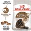 Royal Canin - Croquettes Ageing +12 pour Chat Senior - 4Kg Indicateur image numéro 2