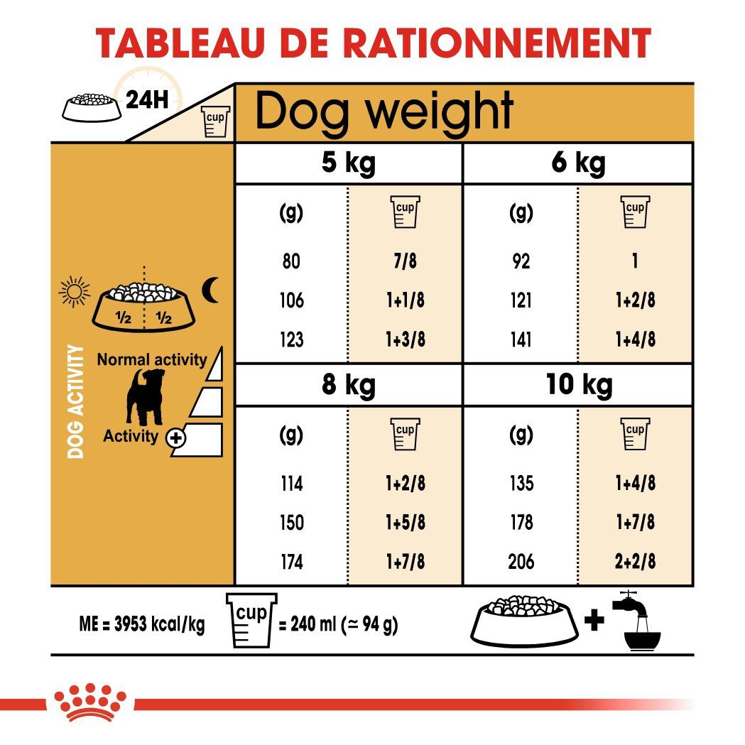 Royal Canin - Croquettes Jack Russel Terrier pour Chien Adulte - 3Kg Image num&eacute;ro 5