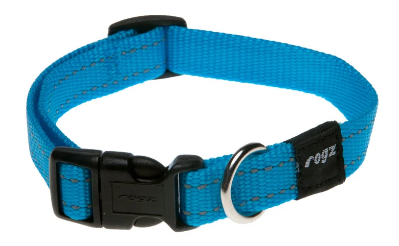 Rogz - Collier Utility Turquoise pour Chiens - 26/40x1,6cm Image numéro 1 Rogz - Collier Utility Turquoise pour Chiens - 26/40x1,6cm Image numéro 1