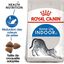 Royal Canin - Croquettes Indoor 27 pour Chat d'Intérieur de 1 à 7 ans - 2Kg Indicateur image numéro 1