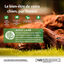 Wellness CORE - Croquettes à l'Agneau pour Chien de Toutes Races - 1,8Kg Indicateur image numéro 2