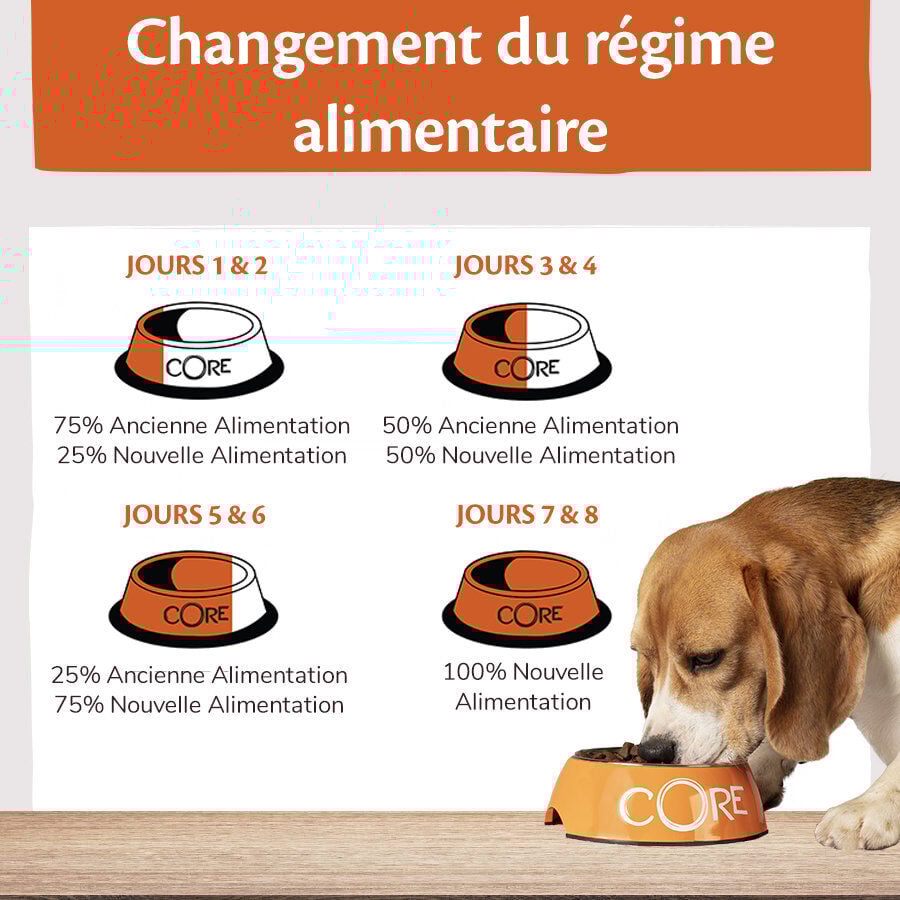 Wellness - Croquettes Large Breed Original Au Poulet Pour Chiens - 10Kg Image num&eacute;ro 5