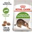 Royal Canin - Croquettes Outdoor 30 pour Chat - 4Kg Indicateur image num&eacute;ro 1