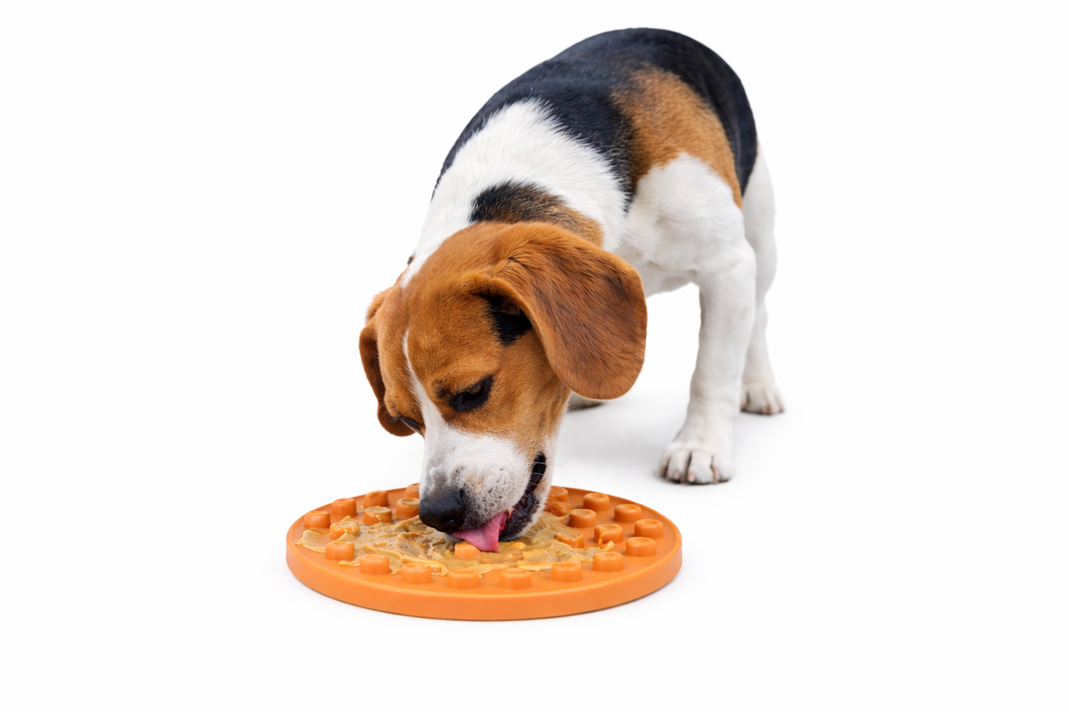 Leeby - Tapis &agrave; L&eacute;cher Fleurs pour Chiens - Orange Image num&eacute;ro 3