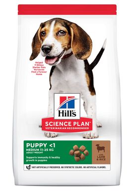 Hill's Science Plan Puppy Croquettes pour Chiot à l'Agneau et Riz