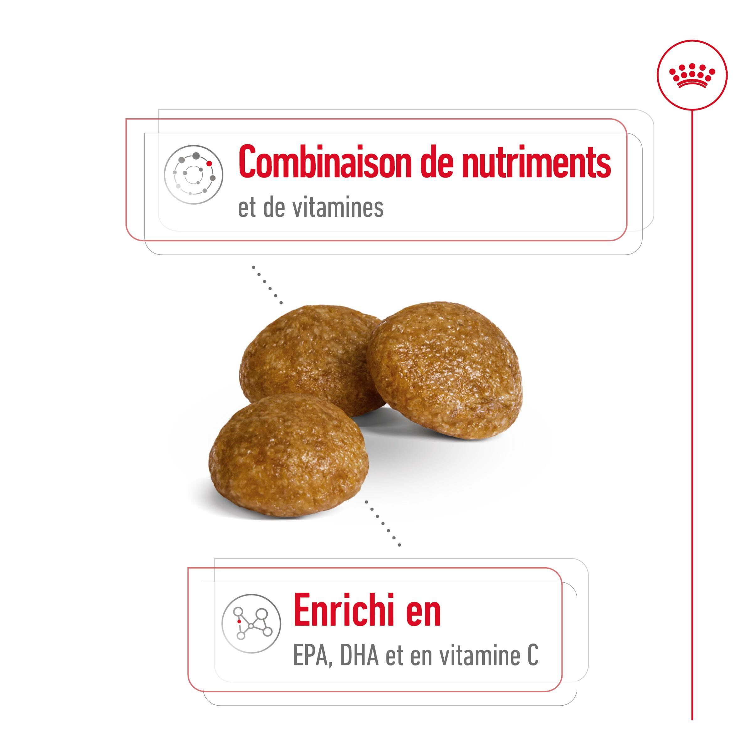 Royal Canin - Croquettes X SMALL ADULT 8+ pour chiens - 3KG Image num&eacute;ro 6