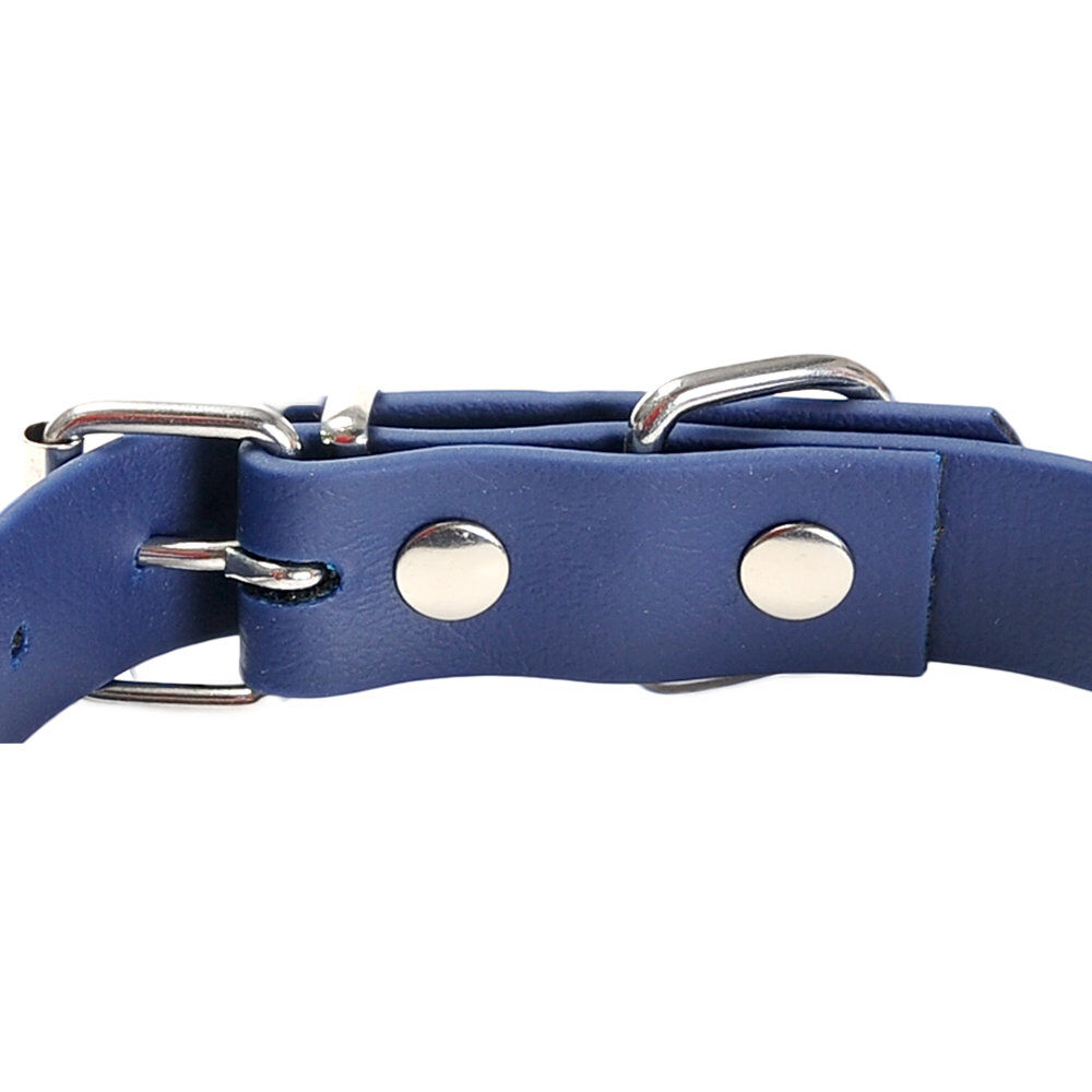 Gotoo - Collier Premium Biotane Bleu pour Chien - S Image num&eacute;ro 3