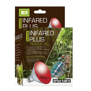 Reptiles Planet - Ampoule Chauffante Infrarouge Infrared Plus Halogen - 100W