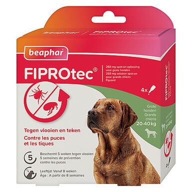 Beaphar - Pipettes Antiparasitaires Fiprotec pour Grand Chien - X4