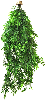 Labeo - Suspension Bambou Plante Artificielle Terrarium