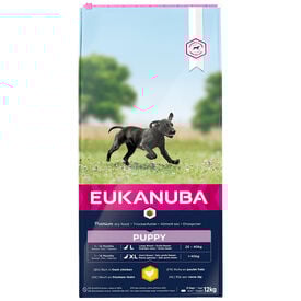 Eukanuba - Croquettes Chiot pour Grande Race au Poulet