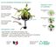 CocoPlant - Filtration Naturelle Coco30 pour Aquarium Indicateur image numéro 5