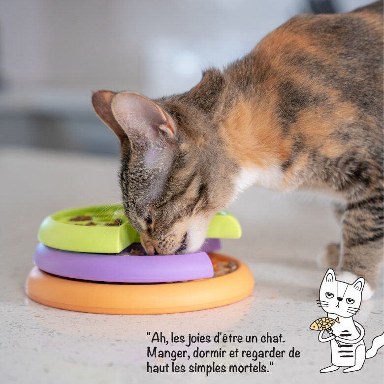 Outward Hound - Jeux Puzzle Kitty Lickin' Layers pour Chats Image num&eacute;ro 7