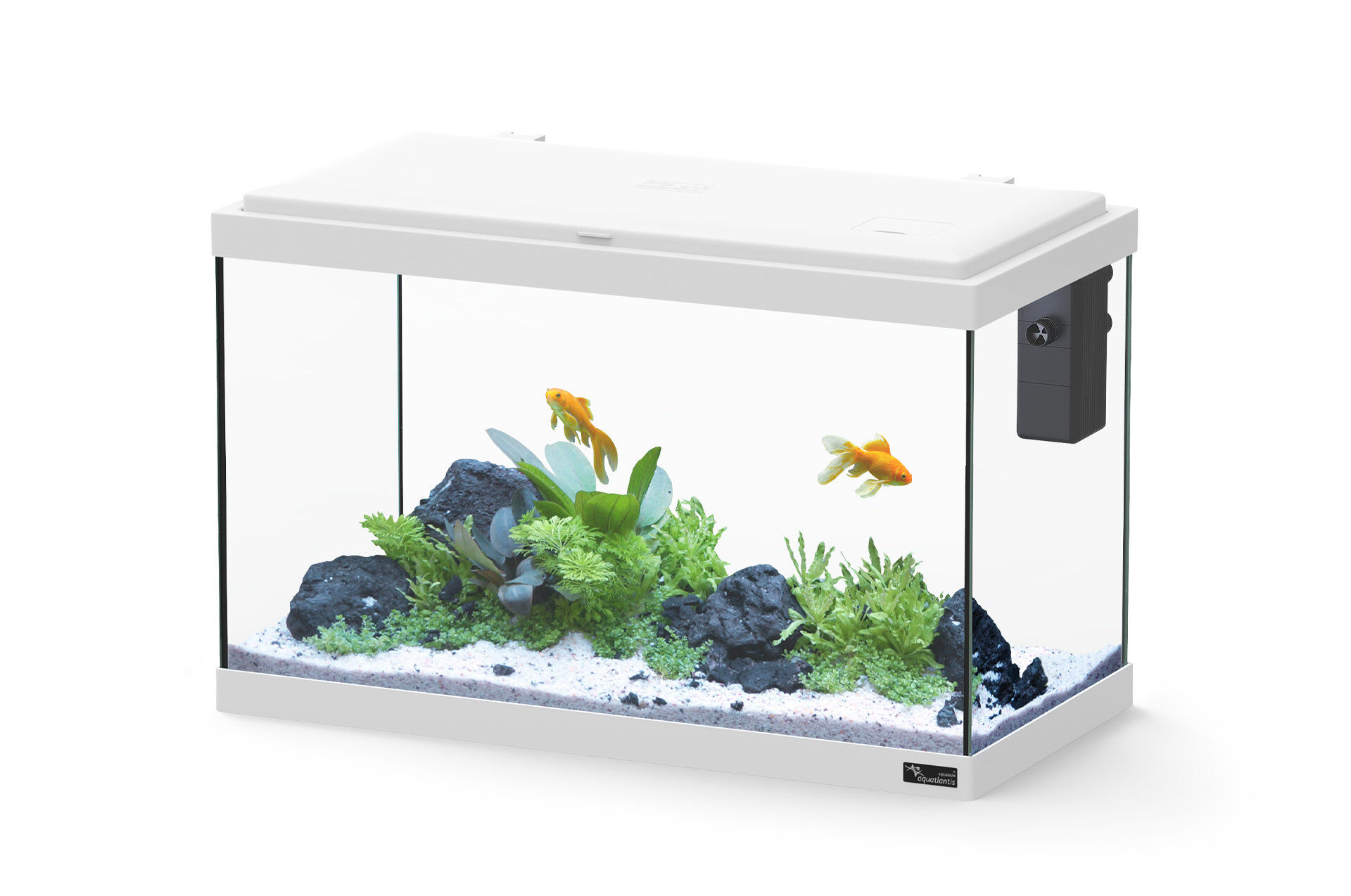 Aquatlantis - Aquarium Explorer Vienna avec Biofilter - Blanc Image num&eacute;ro 1