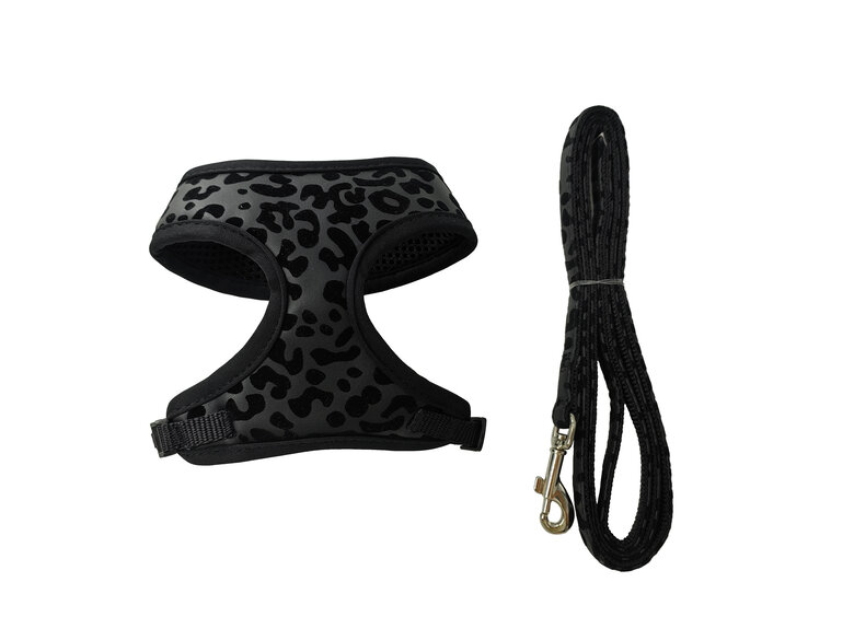 Gotoo - Set Funny pour Chat - Noir Image numéro 1 Gotoo - Set Funny pour Chat - Noir Image numéro 1