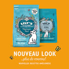 Lily's Kitchen - Croquettes Délice Pêcheur au Poisson Blanc et Saumon pour Chat - 800g image number null