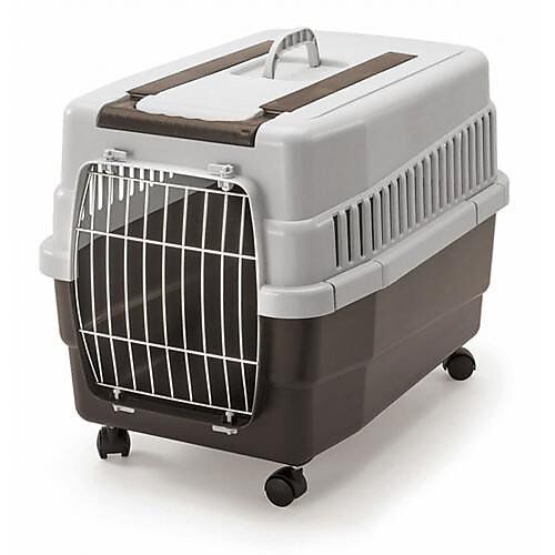 Caisse de transport chat a roulette best sale