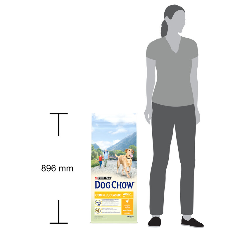 Dog Chow - Croquettes Complet au Poulet pour Chien - 14Kg Image numéro 3 Dog Chow - Croquettes Complet au Poulet pour Chien - 14Kg Image numéro 3