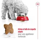 Royal Canin - Croquettes Mini Adult - 2Kg image number null
