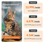 Weenect - Traceur GPS XS Edition 2023 pour Chats - Noir Indicateur image num&eacute;ro 6