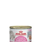 Royal Canin - Boîte Babycat Instinctive pour Chaton - 195g image number null