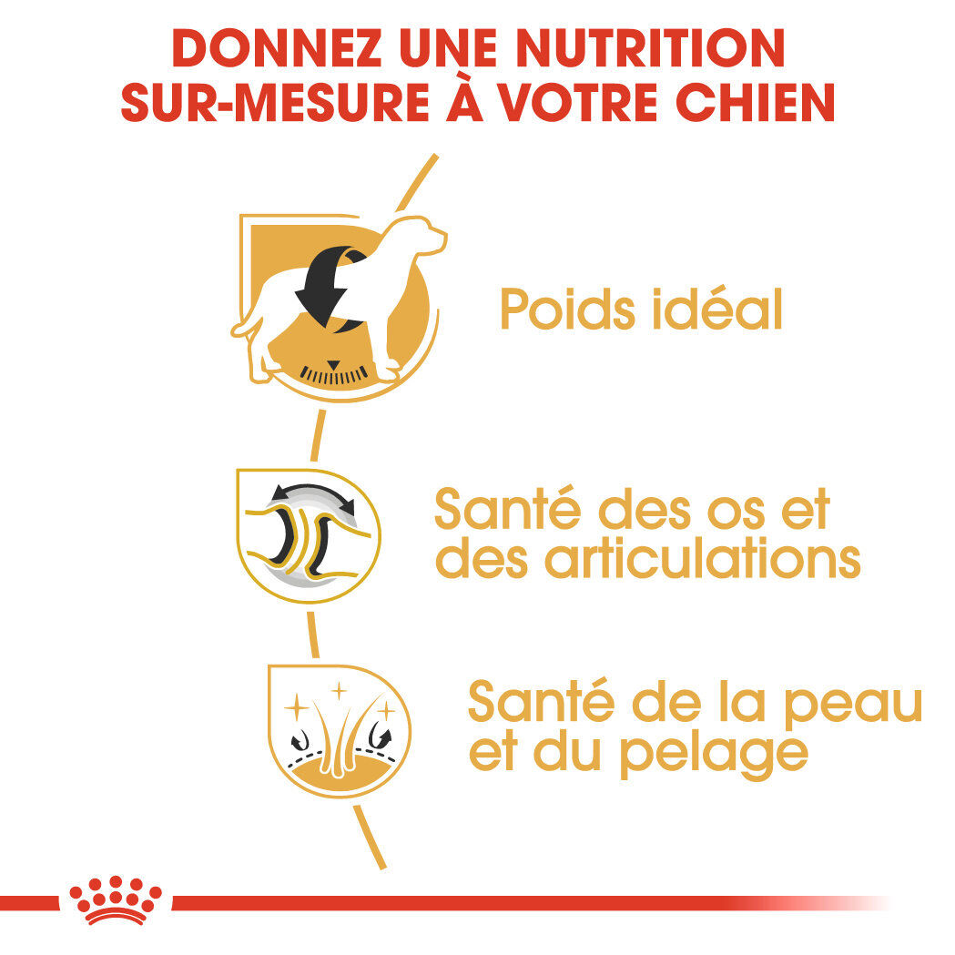 Royal Canin - Croquettes Labrador Adult pour Chiens de plus de 15 Mois - 3Kg Image num&eacute;ro 4
