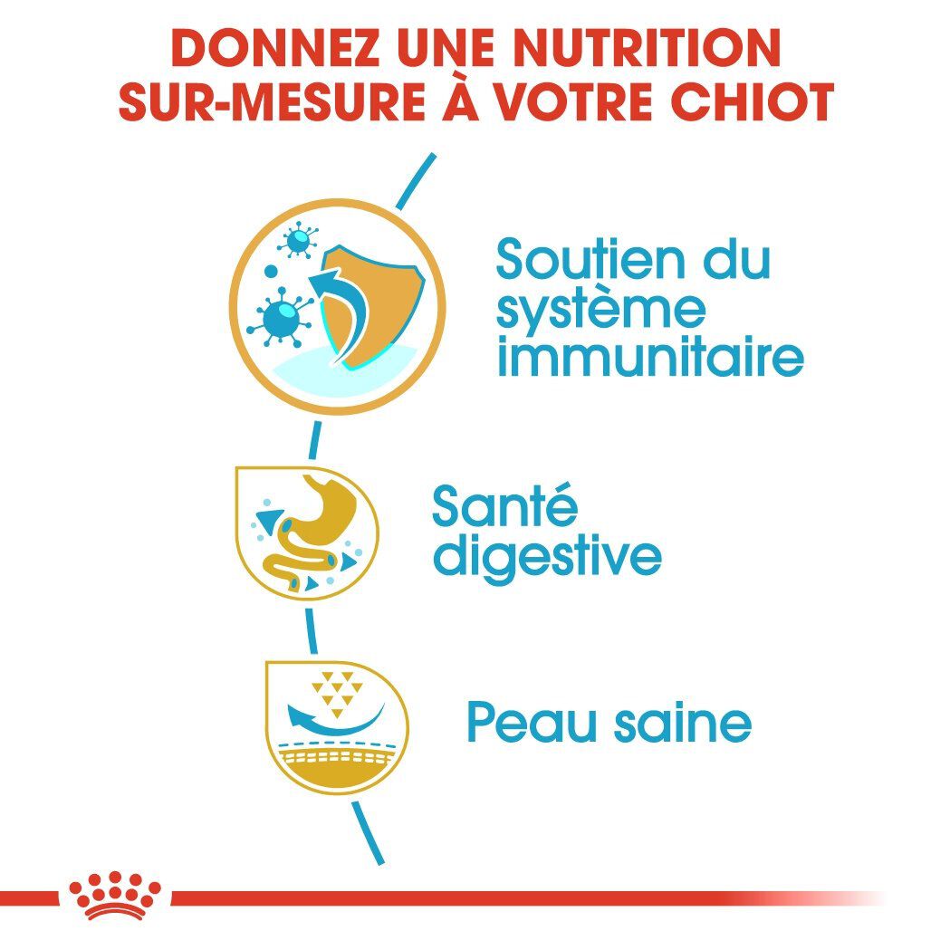 Royal Canin - Croquettes Bouledogue Fran&ccedil;ais Junior pour Chiot - 10Kg Image num&eacute;ro 5